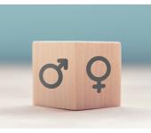 Results Women-Men Professional Equality Index 2022 Vignal Group